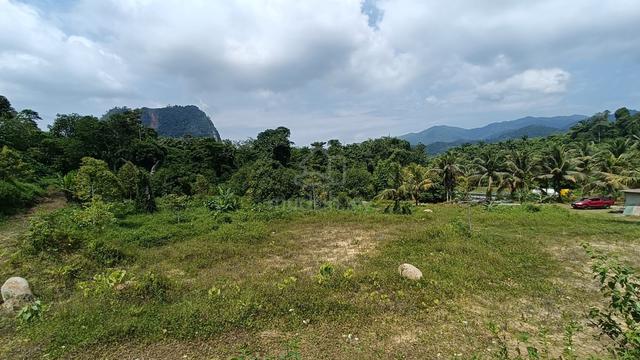 Tanah Kebun di Bukit Berapit, Padang Rengas, Perak 1