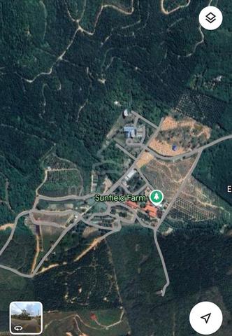Agriculture Land Sale at Alor Gaja Lendu 1