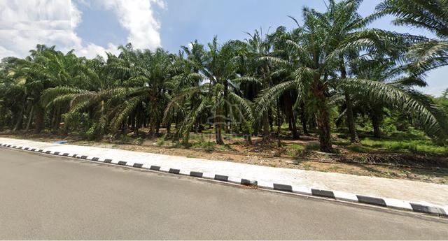 Fronting main road, Flat Land, near residential & commercial area 1