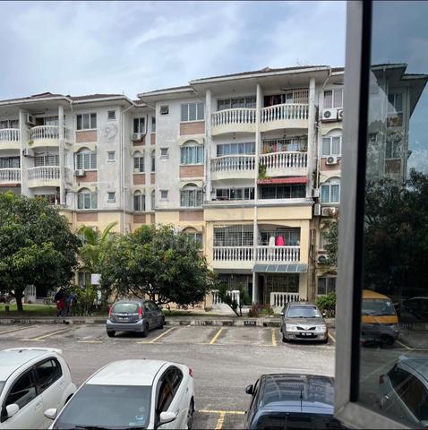 Palma Puteri 3