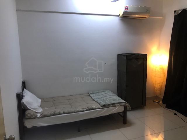Medium size room for rent at PV2 1