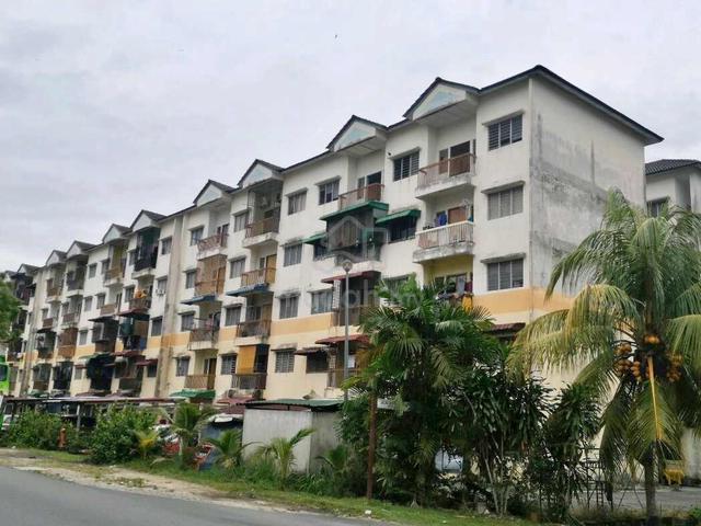 Apartment A1 1