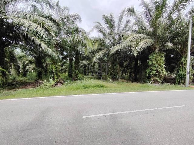 Bukit Perah Land Jenjarom 📌3.0 Acres 📌Beside Jalan Bukit Perah 1