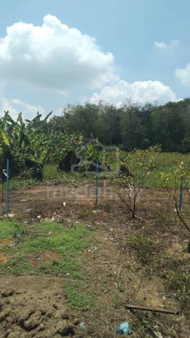 Agriculture Land batang Kali ulu yam offer sale 1