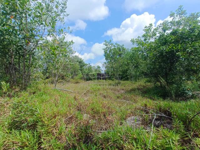 FREEHOLD Industrial Land Kawasan Perindustrian Rembia Bukit Rambai 1