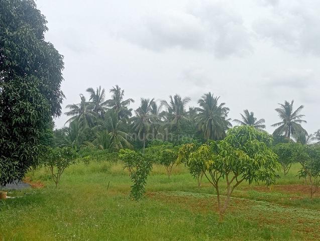 Lot rumah utk di jual 1