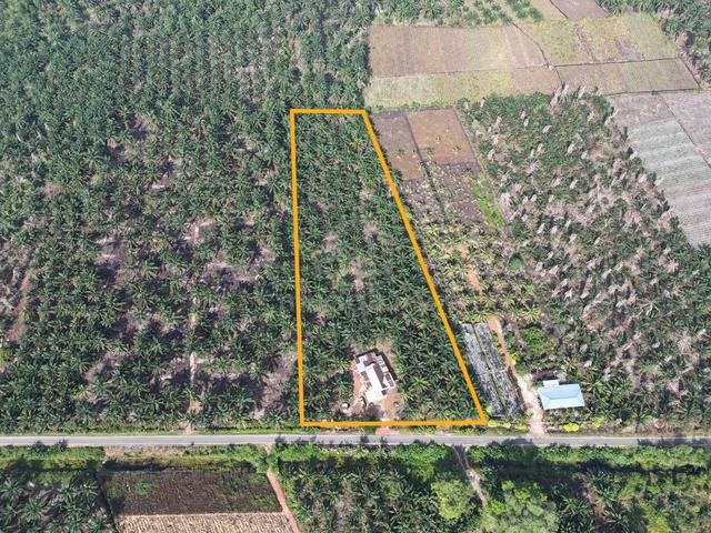FREEHOLD Tanah Kebun Sawit 3.36ac Benut, Pontian [MURAH TEPI JALAN KG] 1