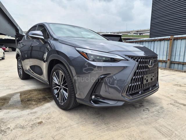 2022 Model: Lexus Nx250 Version L - 2