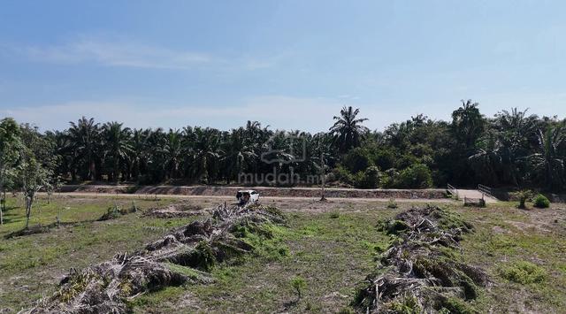 Tanah Pertanian Kuala Sungei Baru 1
