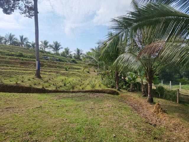 Agricultural Land for Sale!!! 1