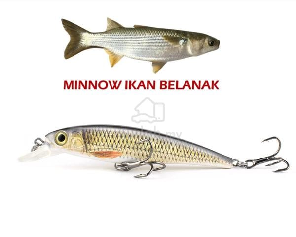 Skygitz Malaysia Mangrove Jack Fishing Lure Minnow - photo 6 of 6
