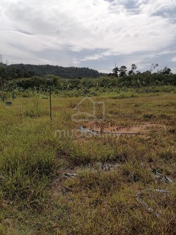broga land 1.95 acre for rent nearby kampung tarun broga, semenyih 1
