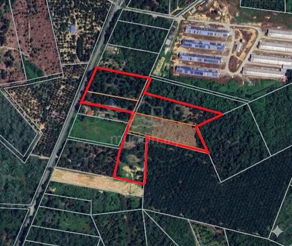 8.9 Ekar Tanah Pertanian Dusun Durian Sungai Bioh Lenggeng Mantin 1