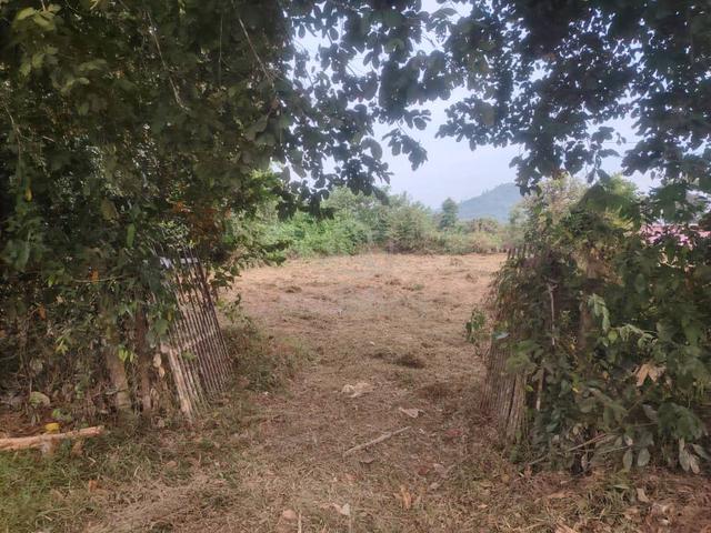 Tanah Pertanian, Padang Terap Kedah 2