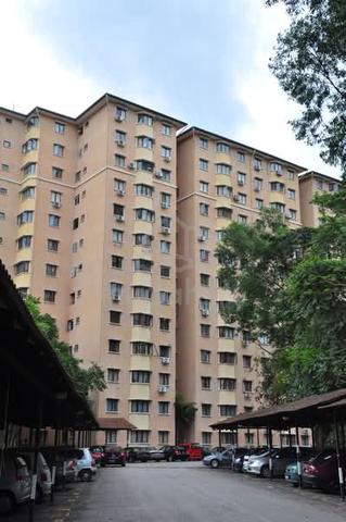 Aman Puri Apartment 1