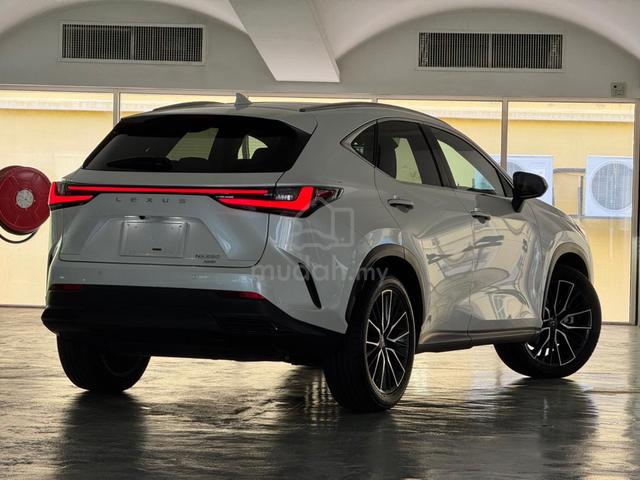 2023 Lexus NX250 2.5 LUXURY GRADE 4.5B (A) - 2