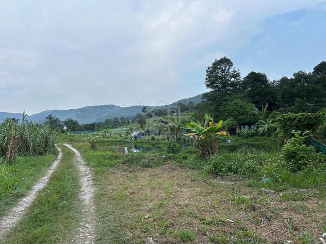 Selangor Semenyih Agricultural Land For Rent 1