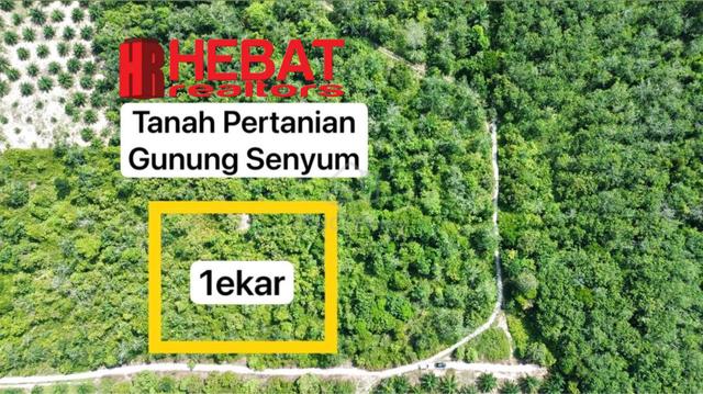 Tanah Pertanian Murah , Rizab Melayu , boleh tanam getah atau Sawit 1