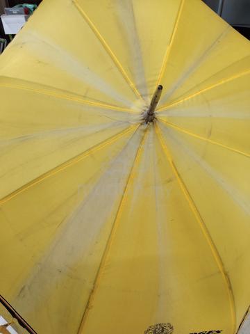Carousel Image