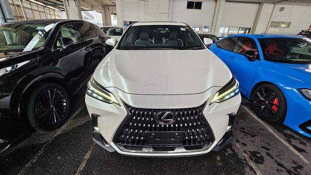 2023 Lexus Nx 250 Version L 8K Km 5A GRADE - 3
