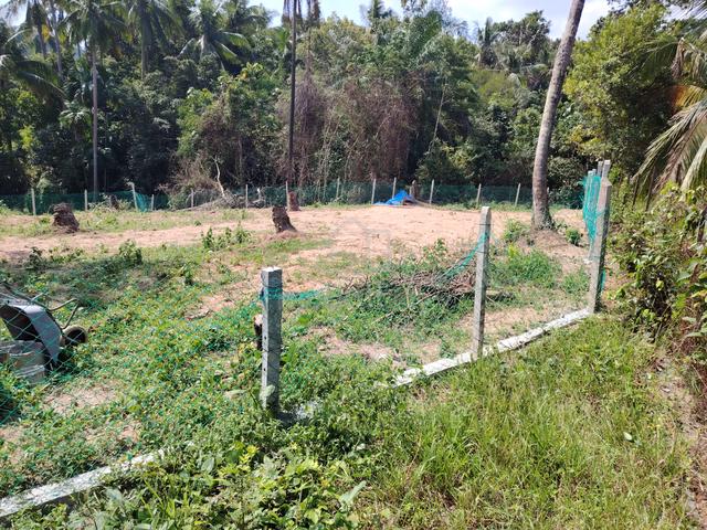 Tanah Kebun Tampin Untuk Disewa 1