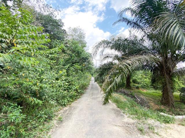 FREEHOLD 3.9 acres Residential Land Desa Vista Sepang 2