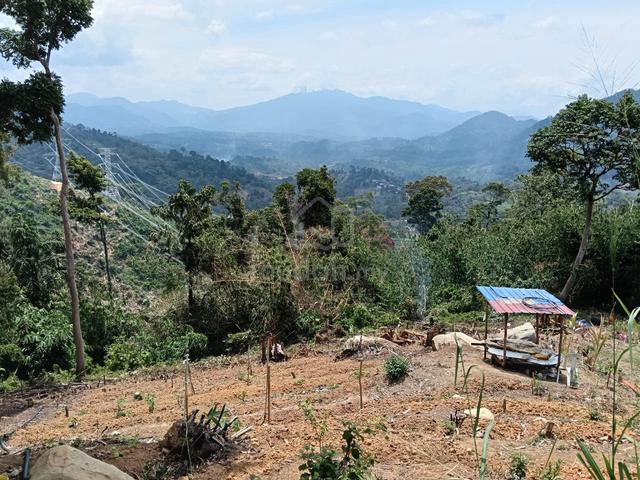 Tanah K.g Janda baik untuk dijual 1