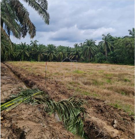 Lot Banglo Untuk Dijual Di Parit Raja, Batu Pahat Johor 1