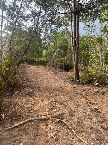 9 Acres Freehold Agriculture Land Lurah Bilut Hills Raub Bentong 1