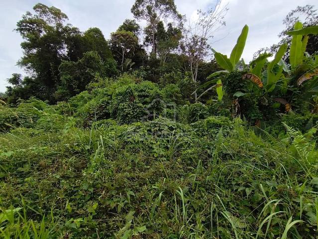 Tanah Tepi Jalan Kechau Berhampiran Bandar Baru Kuala Lipis 5