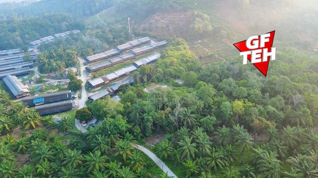 2.09 acre Agricultural Land | Sungai Jawi | SPS | Penang 1