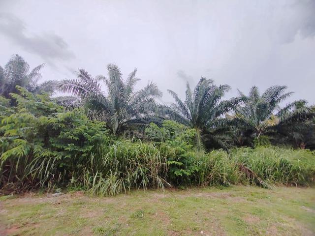 Gurun industry zone vacant flat land 1