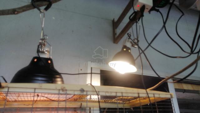 Carousel Image