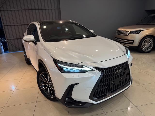 2023 Lexus NX250 2.5 Version L Unreg 5A full spec - 3