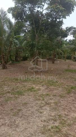 Harga mampu milik ‼️ Tanah Pertanian ☘️ di Jln Gambang muadzam (Lepar) 1