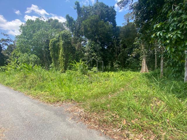 Hulu langat 0.5 Acre [Tanah Kebun] for sale 1