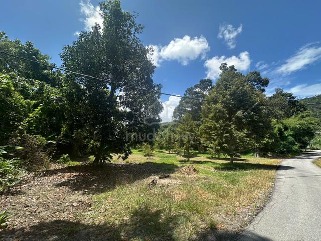 Balik Pulau Kampung Genting - Residential Land for Sale 1