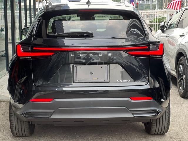 2023 Lexus NX250 2.5 LUXURY MARK LEVINSON - 2