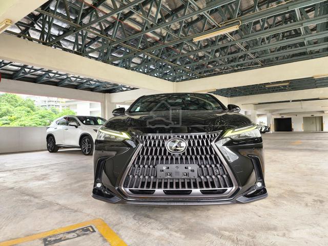 2023 Lexus NX250 2.5 VERSION L (A) GRADE 4.5B - 3
