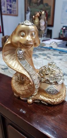 Snake Sale Display Snake display / collection - Hobby & Collectibles for sale in Petaling ...