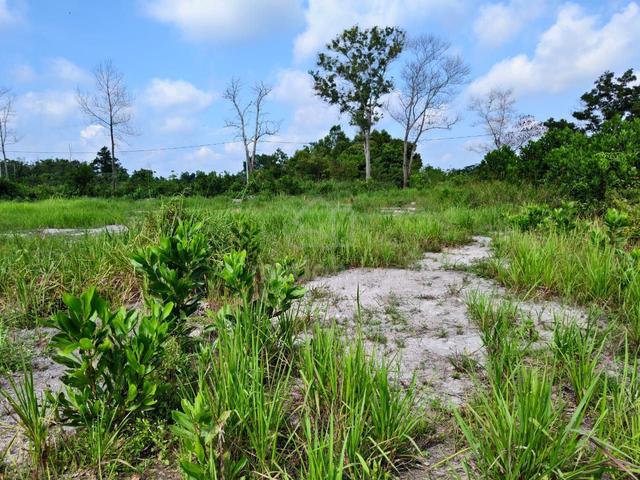 TANAH LOT BANGUNAN KAMPUNG SRI DAMAI KUANTAN UNTUK DiJUAL ❗ 1