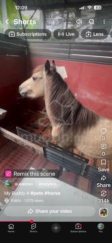 Carousel Image