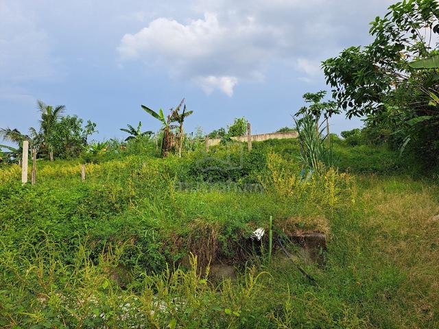 Land in jalan karak,  Batu 3.  [Permanent Grant] Single owner 4