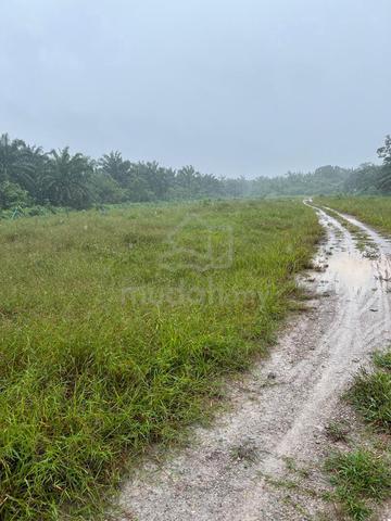 2.28 Ekar Tanah Dusun RTB Air Putih (Jln kg Dew) Taiping, Perak 4