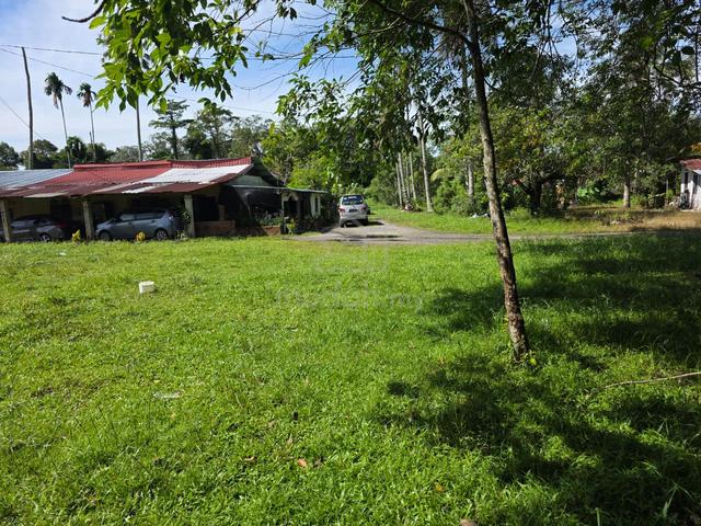 TANAH PERTANIAN PANDAN AMAN SEKELILING PERUMAHAN BARU Kuantan 1