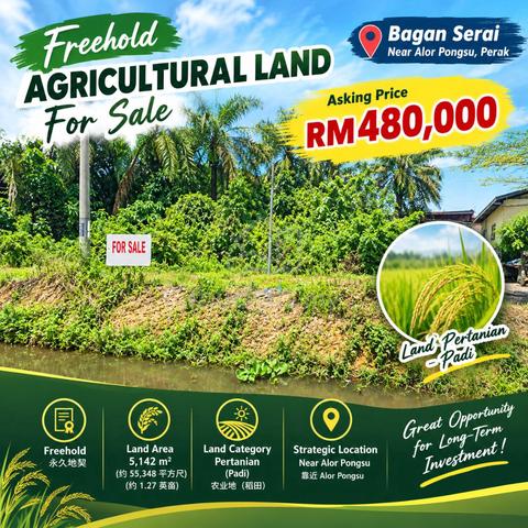 Freehold Agricultural Land For Sale @ Bagan Serai, Near Alor Pongsu 1