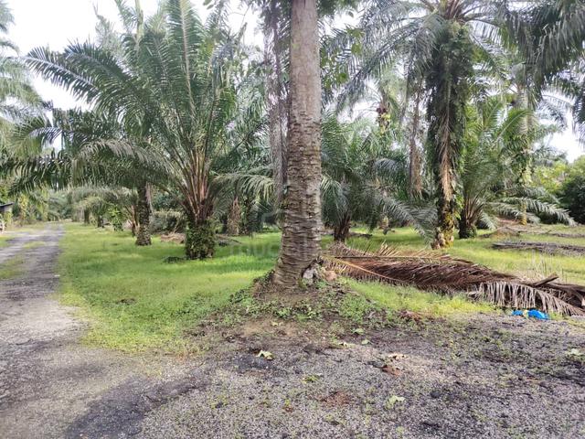 Telok Panglima Garang Land 📌14 Acres 📌Freehold 3