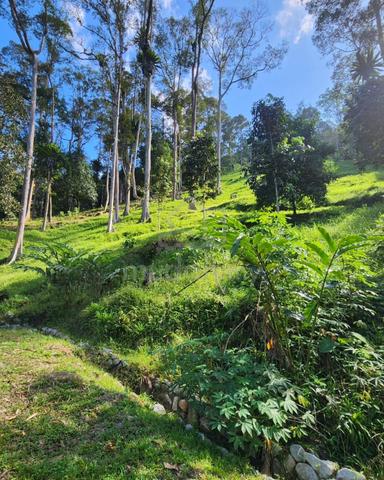 3 EKAR Kebun Buah di Hulu Langat, Selangor 1