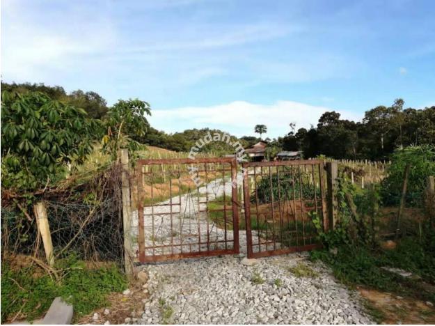 6 Arces Nilai Pajam Agricultural Land Batang Benar Negeri Sembilan 1