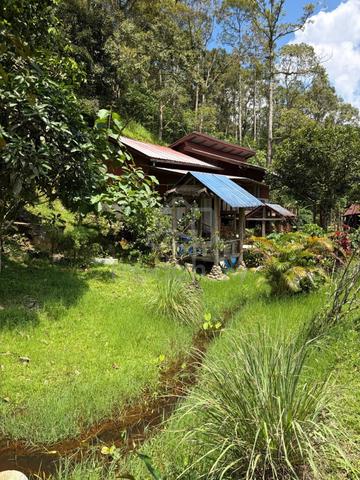 [TANAH KEBUN ADA AKSES JALAN] Tanah Durian Janda Baik Bentong 1